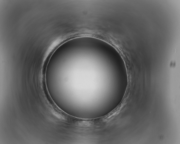 X0000090970102200708161844