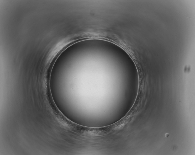 X0000090970103200708161844