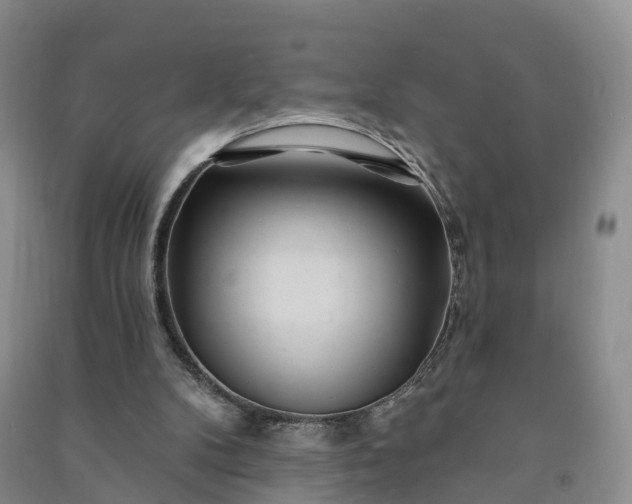 X0000090970104200708161844