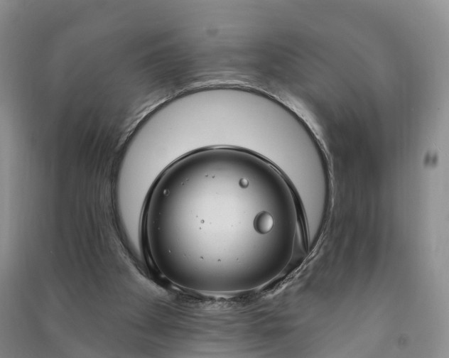 X0000090970105200708161843