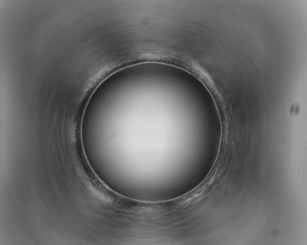 X0000090970106200708161843