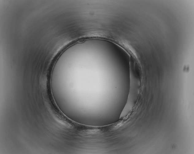 X0000090970108200708161843