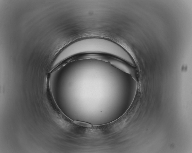 X0000090970109200708161843