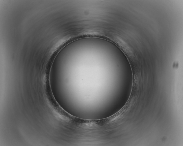 X0000090970112200708161843