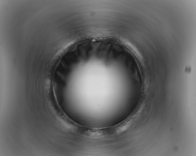 X0000090970113200708161843