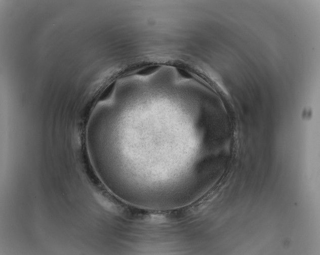 X0000090970114200708161843