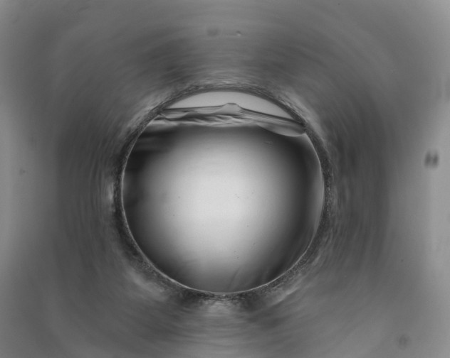 X0000090970115200708161843