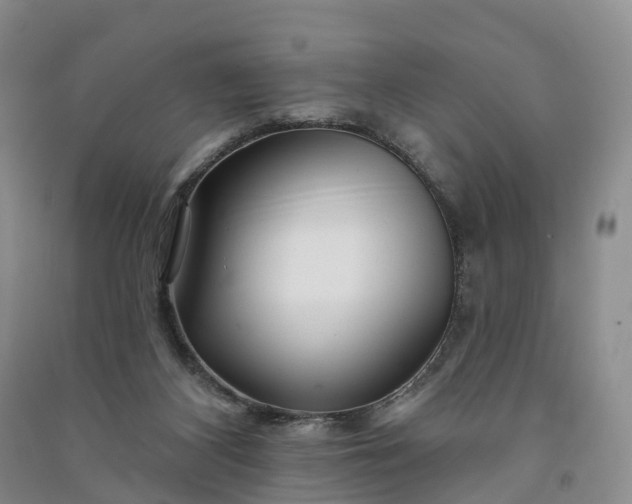 X0000090970116200708161843