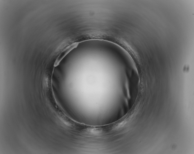 X0000090970117200708161843