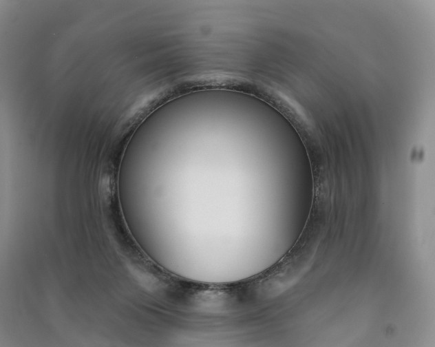 X0000090970119200708161843