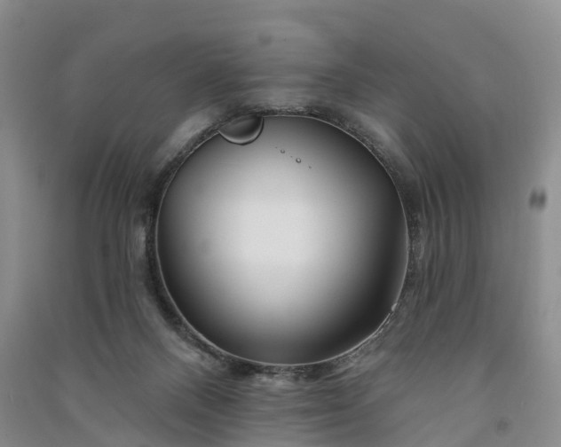 X0000090970120200708161843