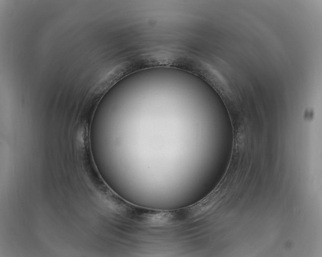 X0000090970122200708161843