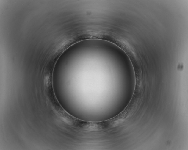 X0000090970123200708161843