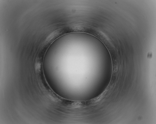 X0000090970124200708161843