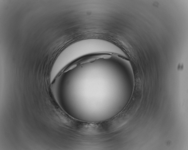 X0000090970125200708161843