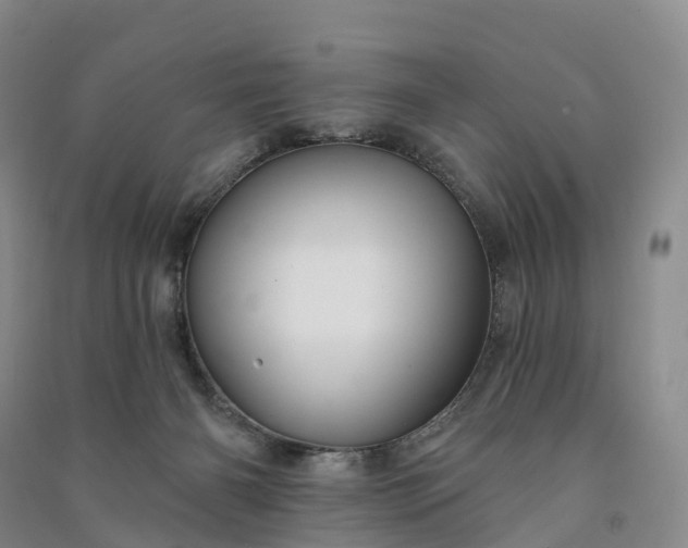 X0000090970126200708161843