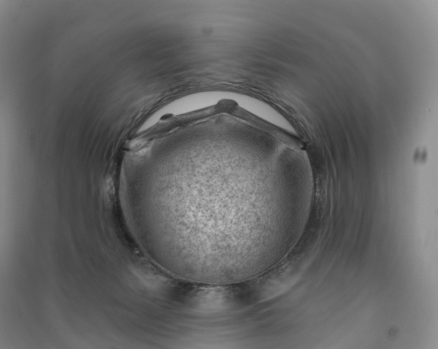 X0000090970127200708161843