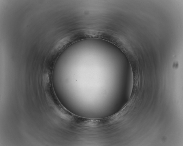 X0000090970128200708161843