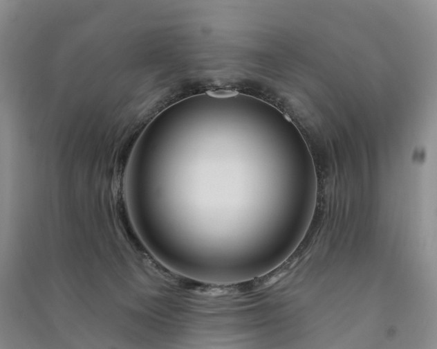 X0000090970129200708161843