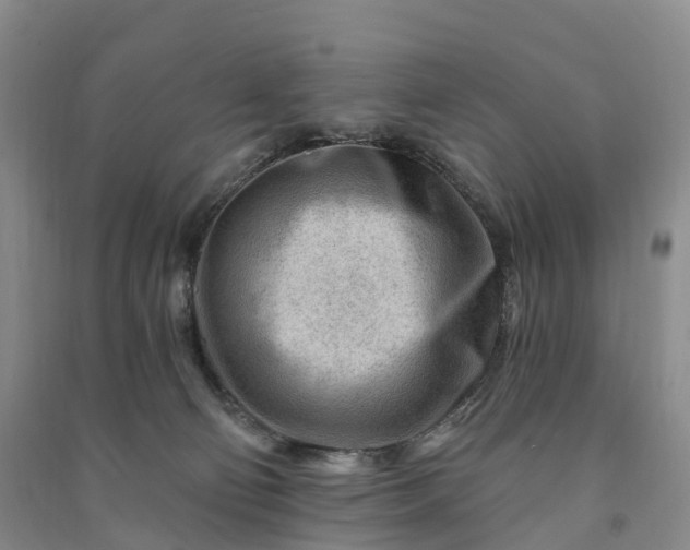 X0000090970130200708161843