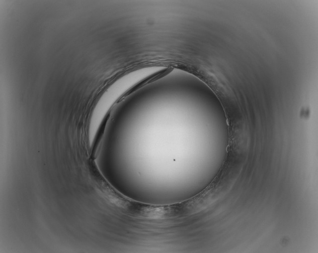 X0000090970131200708161843