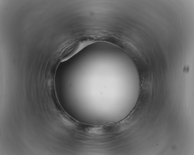 X0000090970132200708161843