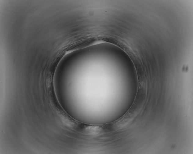 X0000090970133200708161843