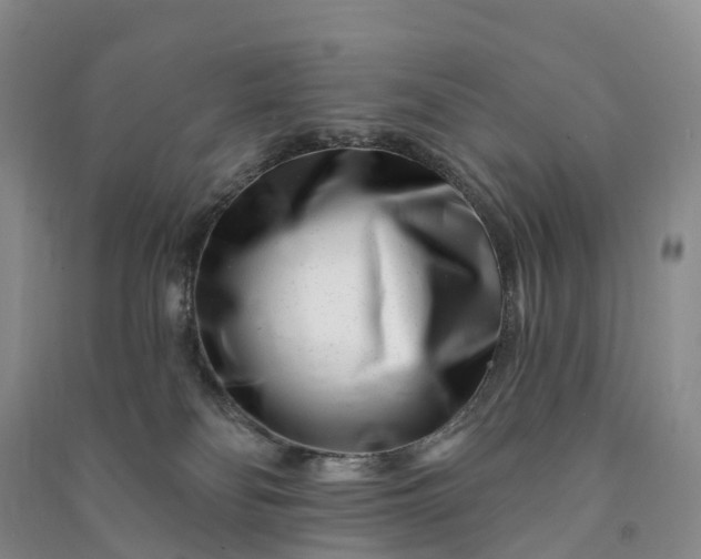 X0000090970134200708161843