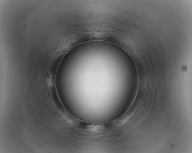 X0000090970135200708161843