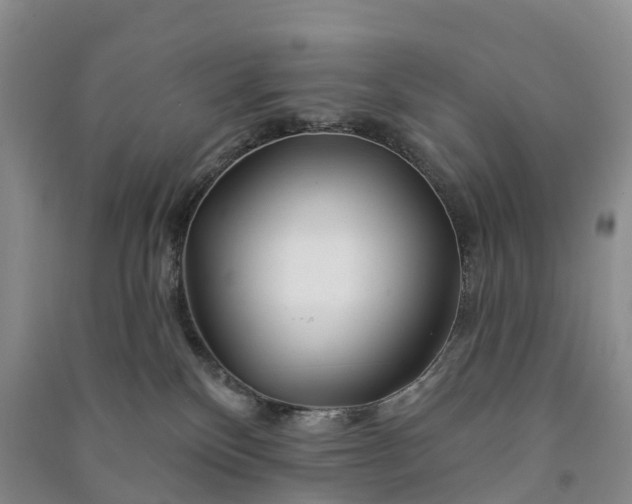 X0000090970136200708161843