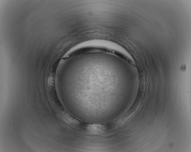 X0000090970137200708161843