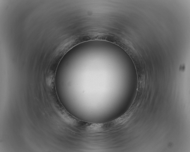 X0000090970138200708161843