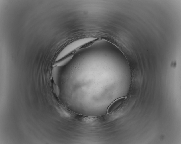 X0000090970139200708161843