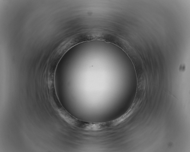 X0000090970140200708161843