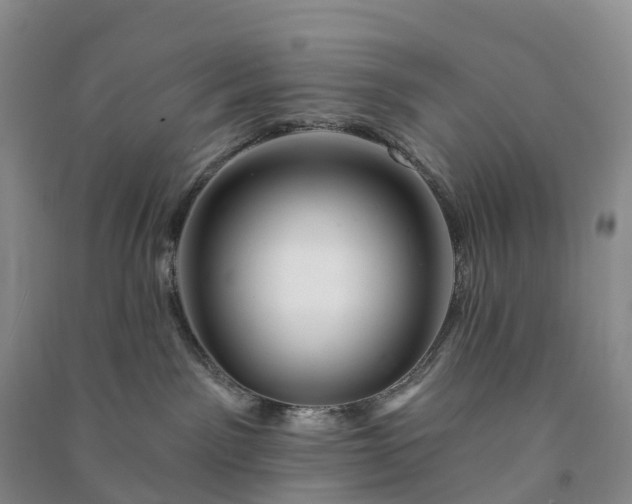 X0000090970141200708161843