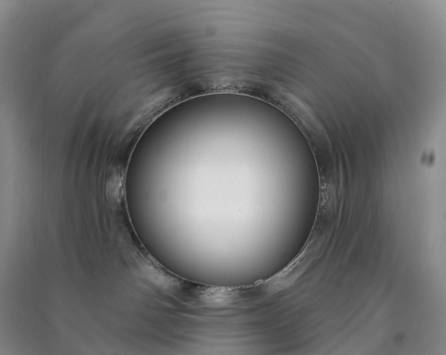 X0000090970142200708161843