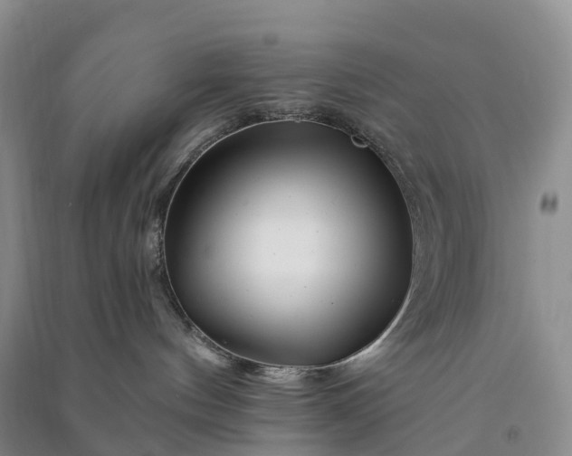 X0000090970144200708161843