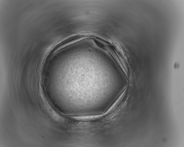 X0000090970145200708161842