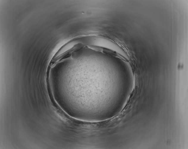 X0000090970147200708161842