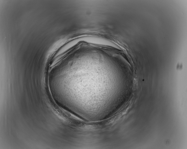 X0000090970149200708161842