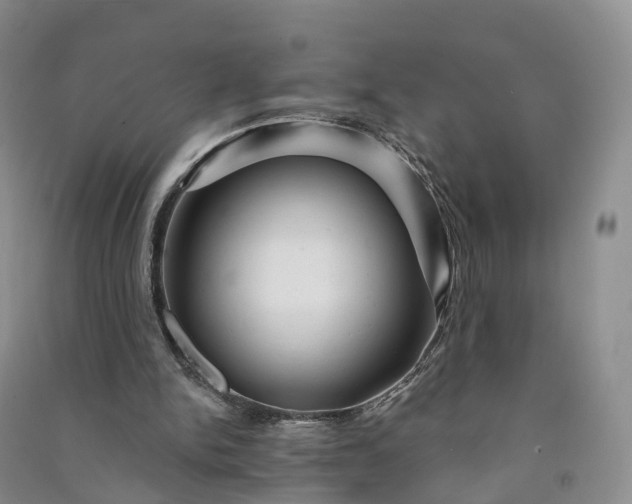 X0000090970150200708161842