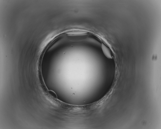 X0000090970151200708161842