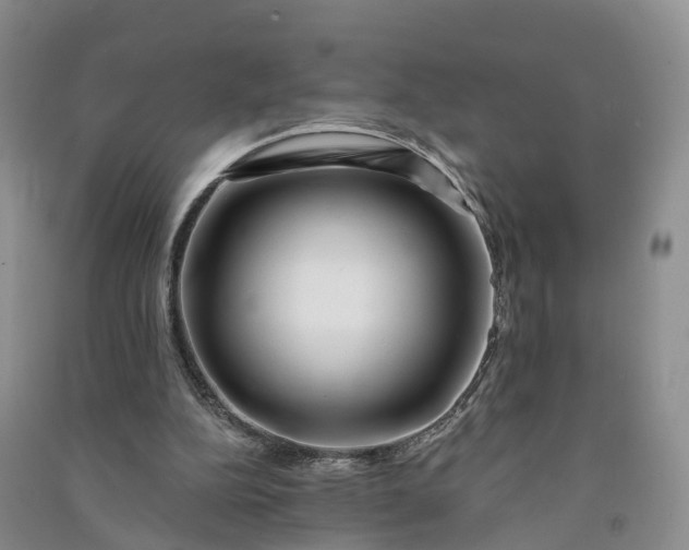 X0000090970152200708161842