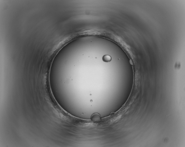 X0000090970153200708161842