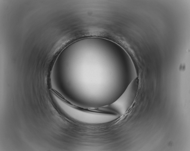 X0000090970154200708161842