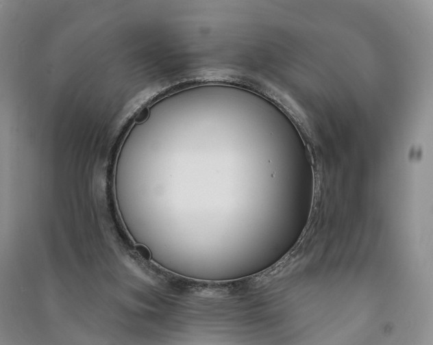 X0000090970155200708161842