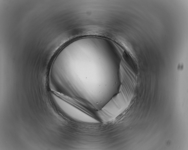 X0000090970156200708161842