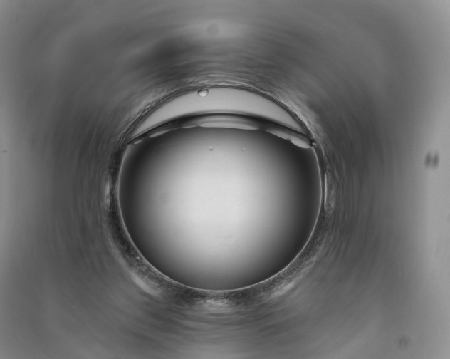 X0000090970157200708161842