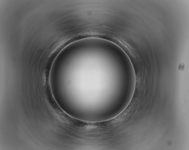 X0000090970158200708161842