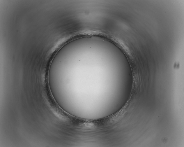 X0000090970159200708161842